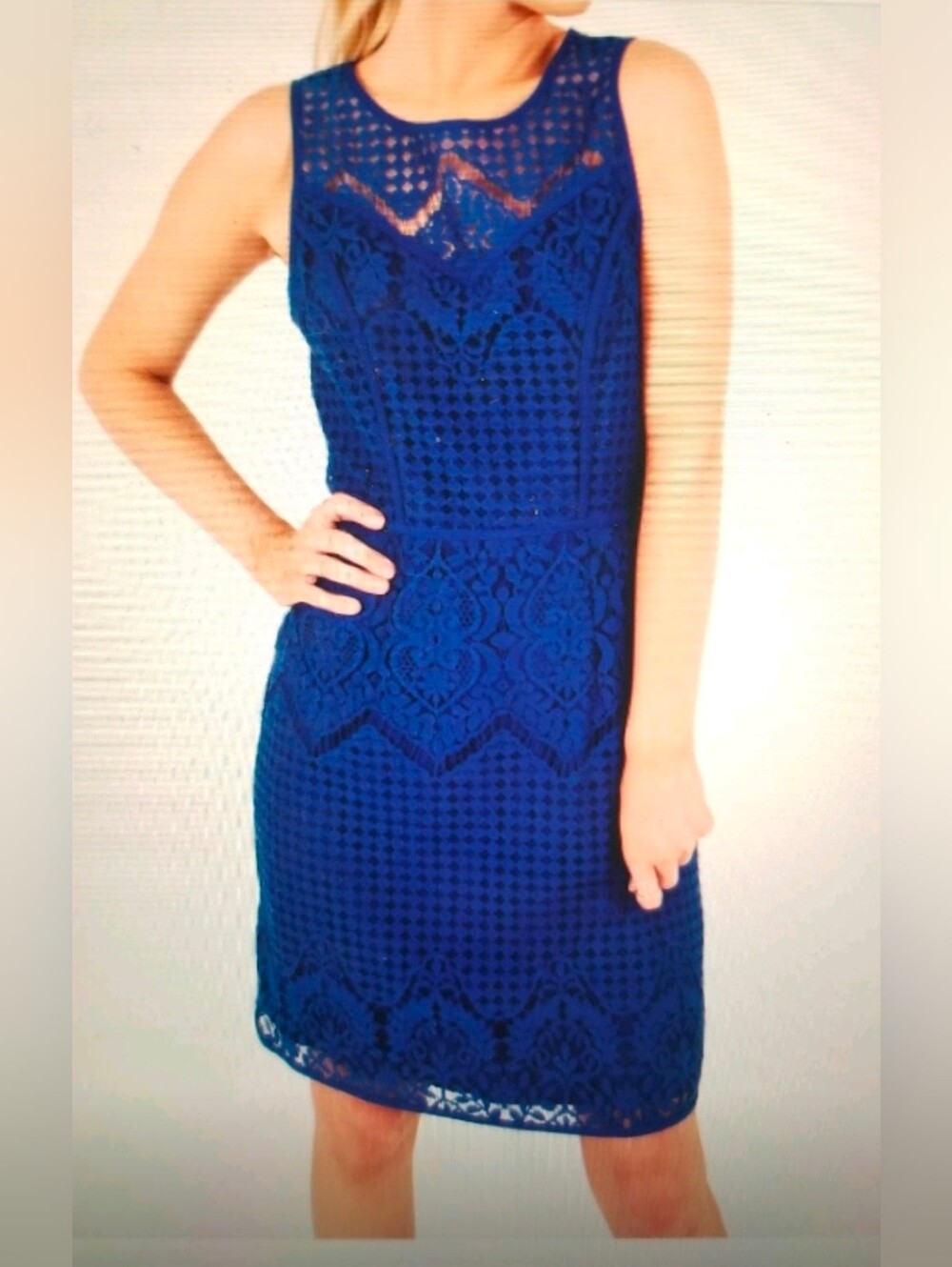 NWT Royal Blue Lace Sleeveless Shift Dress - Sz 16